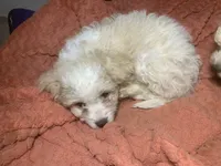 processed/bce207d0-03c2-4a0f-b3d1-2da25d267ee6/listing/2012c514-436a-4e77-92d2-c5c1bf7dd899/7fea1098-cbcc-48c4-a357-52c0067efe41