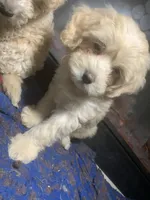 processed/bce207d0-03c2-4a0f-b3d1-2da25d267ee6/listing/9a69b600-421d-4fa9-ab30-bb8f4b1122f1/badb7cb5-7ddc-40c2-b6b8-0463121c16f6