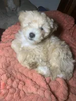 processed/bce207d0-03c2-4a0f-b3d1-2da25d267ee6/listing/c8a36f62-6236-4d5d-b012-c3f39eebdd93/5f01a1f0-ae46-41e0-b282-8b982fcf840b