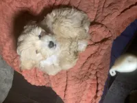 processed/bce207d0-03c2-4a0f-b3d1-2da25d267ee6/listing/c8a36f62-6236-4d5d-b012-c3f39eebdd93/8ad7c8fd-6a67-486e-a2d3-6170aa668291