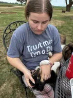 Purple Tri color girl, a female Collie for sale in Valley City, ND – 3 of 10