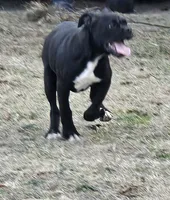 processed/bcf66c0d-6e54-4807-824a-feab637b4912/listing/f65311e0-bde9-4db0-bf20-4e3d66e632d9/39b6d4af-9c06-4f4c-97e7-e19ad0461f5f