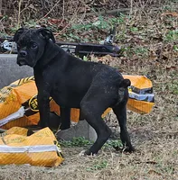 processed/bcf66c0d-6e54-4807-824a-feab637b4912/listing/f65311e0-bde9-4db0-bf20-4e3d66e632d9/46d24f67-3e7b-41a2-a960-aa9b8caece1e