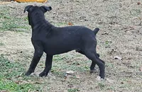 processed/bcf66c0d-6e54-4807-824a-feab637b4912/listing/f65311e0-bde9-4db0-bf20-4e3d66e632d9/4de5650b-31b0-4327-bf16-c8850cfbf077