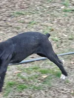 processed/bcf66c0d-6e54-4807-824a-feab637b4912/listing/f65311e0-bde9-4db0-bf20-4e3d66e632d9/7992223c-379d-4cd2-aa34-74f320ad16e9