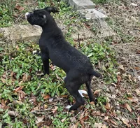 processed/bcf66c0d-6e54-4807-824a-feab637b4912/listing/f65311e0-bde9-4db0-bf20-4e3d66e632d9/bc4478df-3407-4c6c-8d38-f3ce14facd80