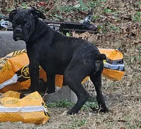 processed/bcf66c0d-6e54-4807-824a-feab637b4912/listing/f65311e0-bde9-4db0-bf20-4e3d66e632d9/cb3ffb35-81bf-4656-9391-df32b74652f3