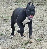 processed/bcf66c0d-6e54-4807-824a-feab637b4912/listing/f65311e0-bde9-4db0-bf20-4e3d66e632d9/efc9d84f-5e5a-4603-a3f0-dd7206589ffb