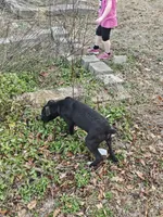 processed/bcf66c0d-6e54-4807-824a-feab637b4912/listing/f65311e0-bde9-4db0-bf20-4e3d66e632d9/f645a53f-aa63-4744-8997-909ff7abcee6