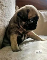 processed/bcfcc113-f683-4ba5-9e5b-f5aa78834073/listing/3a7b921d-e395-4253-99ce-d632cb198ad5/20fdab55-4176-4040-b1f1-db5b2eb998a4