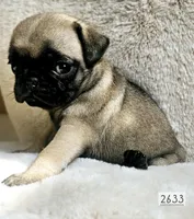 processed/bcfcc113-f683-4ba5-9e5b-f5aa78834073/listing/3a7b921d-e395-4253-99ce-d632cb198ad5/cdd702d1-b0d9-4b9f-aeb8-ce437903b0ff