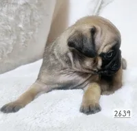 processed/bcfcc113-f683-4ba5-9e5b-f5aa78834073/listing/cae7bcda-0f12-4ca4-a7bf-1414e56a654b/0afdb8dc-43ce-4baa-8e73-f10a7ee8196e