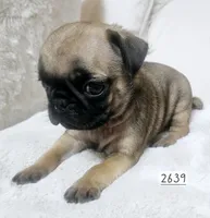 processed/bcfcc113-f683-4ba5-9e5b-f5aa78834073/listing/cae7bcda-0f12-4ca4-a7bf-1414e56a654b/6c6caa78-994e-4399-9f02-a1f59d63493d