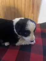 processed/bd021156-514e-431f-a215-11c8d5e3147d/listing/140e9992-9ca1-42d1-bca4-0385ba6e4609/1dfae9ce-d703-42bb-bd1b-e80304a3d7c0