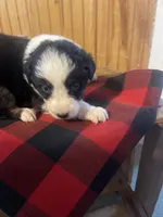 processed/bd021156-514e-431f-a215-11c8d5e3147d/listing/140e9992-9ca1-42d1-bca4-0385ba6e4609/58615ae7-f471-49b7-87ab-2ebbf62d1891