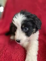 processed/bd021156-514e-431f-a215-11c8d5e3147d/listing/140e9992-9ca1-42d1-bca4-0385ba6e4609/9f2ee0c6-34f1-47a8-a9d8-2c0533211b56