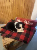 processed/bd021156-514e-431f-a215-11c8d5e3147d/listing/140e9992-9ca1-42d1-bca4-0385ba6e4609/b6730c7b-b5f3-415f-a54c-226702a26f66