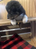 processed/bd021156-514e-431f-a215-11c8d5e3147d/listing/2b430399-aef5-465e-b9fc-f485beb83323/90237508-44f5-4621-8fef-f9cd8af1995c