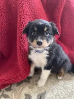 processed/bd021156-514e-431f-a215-11c8d5e3147d/listing/2b430399-aef5-465e-b9fc-f485beb83323/ccef3cad-c98b-414e-838f-78756b6e5d27