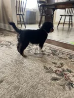 processed/bd021156-514e-431f-a215-11c8d5e3147d/listing/2b430399-aef5-465e-b9fc-f485beb83323/fe8475a1-ed84-4483-aa83-0fe6df3996e0