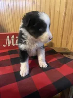 processed/bd021156-514e-431f-a215-11c8d5e3147d/listing/2ff4da52-c437-4e71-bb28-6a0a08023ab7/01b89a53-17a1-4e38-a8dc-d0db72d35021