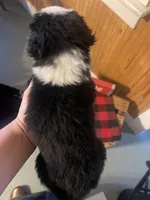 processed/bd021156-514e-431f-a215-11c8d5e3147d/listing/2ff4da52-c437-4e71-bb28-6a0a08023ab7/61abf302-8d00-48a5-a618-e2878a13dd7a