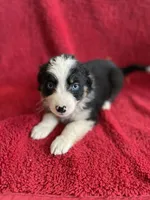 processed/bd021156-514e-431f-a215-11c8d5e3147d/listing/2ff4da52-c437-4e71-bb28-6a0a08023ab7/ed80b7d3-7cfe-4a4e-aa66-4943633b60ab