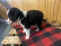 processed/bd021156-514e-431f-a215-11c8d5e3147d/listing/2ff4da52-c437-4e71-bb28-6a0a08023ab7/fab3a795-8ed0-4b8d-8713-ab61fc499514