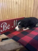 processed/bd021156-514e-431f-a215-11c8d5e3147d/listing/41e78723-297e-4e4a-8d94-3132f7a04b70/5c21d07a-a0d2-45d3-a943-511ce6b529fb