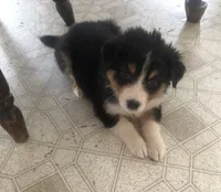 processed/bd021156-514e-431f-a215-11c8d5e3147d/listing/41e78723-297e-4e4a-8d94-3132f7a04b70/e4c8c3d0-e0de-4c5b-b3e4-4bd125ede908