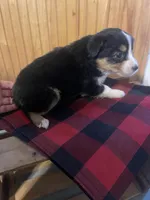 processed/bd021156-514e-431f-a215-11c8d5e3147d/listing/41e78723-297e-4e4a-8d94-3132f7a04b70/f0fc68c1-af3e-4508-b092-9e60dfff7c03