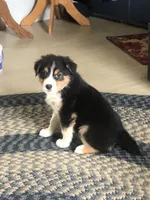 processed/bd021156-514e-431f-a215-11c8d5e3147d/listing/41e78723-297e-4e4a-8d94-3132f7a04b70/f50f6b0f-9748-40e2-85f1-cf8aacd8fed5