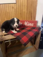 processed/bd021156-514e-431f-a215-11c8d5e3147d/listing/4c5ab0d1-9e77-4bc2-a4bc-0815a7a58bbf/0bb4b5d1-262a-47a5-8503-851ecd8ba83c