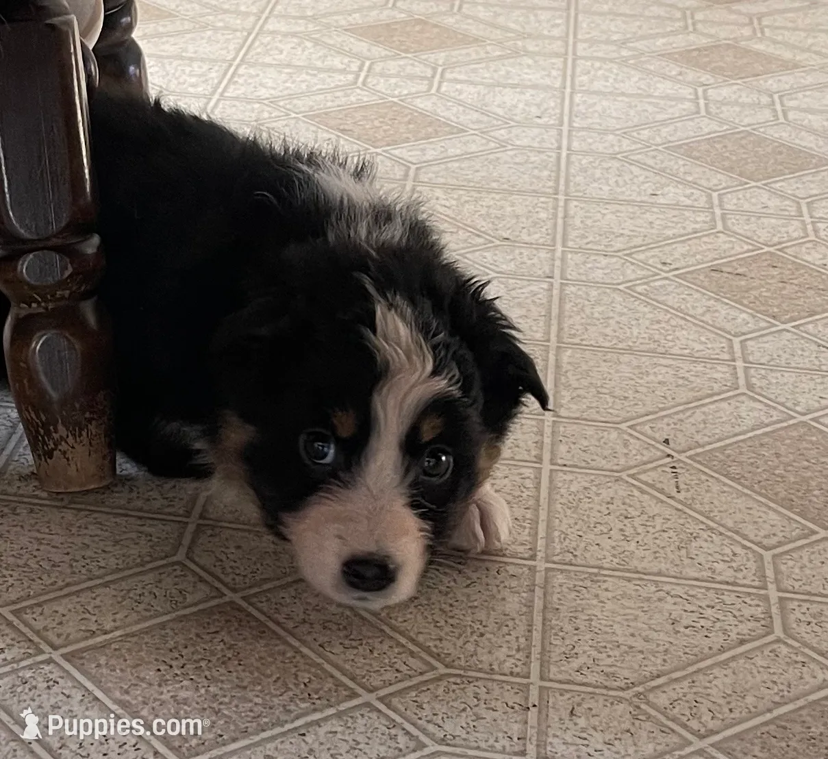 processed/bd021156-514e-431f-a215-11c8d5e3147d/listing/4c5ab0d1-9e77-4bc2-a4bc-0815a7a58bbf/8ee846b4-5a61-4c89-b26a-2119d3fd0e59