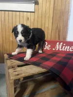 processed/bd021156-514e-431f-a215-11c8d5e3147d/listing/4c5ab0d1-9e77-4bc2-a4bc-0815a7a58bbf/d6fa5f2a-be7d-4f01-8437-5f7554b9dda9