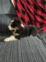 processed/bd021156-514e-431f-a215-11c8d5e3147d/listing/73920065-5b64-4596-bfca-19ffcf40bb2c/420cf8d3-9edf-45ff-ab6f-665e818652fd