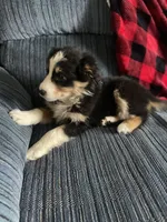 processed/bd021156-514e-431f-a215-11c8d5e3147d/listing/73920065-5b64-4596-bfca-19ffcf40bb2c/662d88f0-5787-49d8-8c3c-3214404d012a