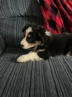 processed/bd021156-514e-431f-a215-11c8d5e3147d/listing/73920065-5b64-4596-bfca-19ffcf40bb2c/8da4d0de-6813-4d8a-b91d-e49223651e95