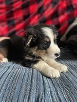 processed/bd021156-514e-431f-a215-11c8d5e3147d/listing/73920065-5b64-4596-bfca-19ffcf40bb2c/a0747b57-ea00-4c05-b1b6-35c4f41af3de