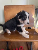 processed/bd021156-514e-431f-a215-11c8d5e3147d/listing/73920065-5b64-4596-bfca-19ffcf40bb2c/b5e5b98f-36d1-4c26-adf9-bfd38ea89bce