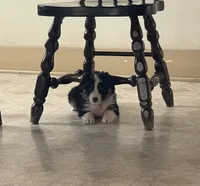 processed/bd021156-514e-431f-a215-11c8d5e3147d/listing/73920065-5b64-4596-bfca-19ffcf40bb2c/cab6cf9e-b949-4e73-97f4-3bc5a41989e3