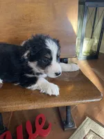 processed/bd021156-514e-431f-a215-11c8d5e3147d/listing/73920065-5b64-4596-bfca-19ffcf40bb2c/ce1b2b44-d809-4c85-93cd-5538329ce4a9