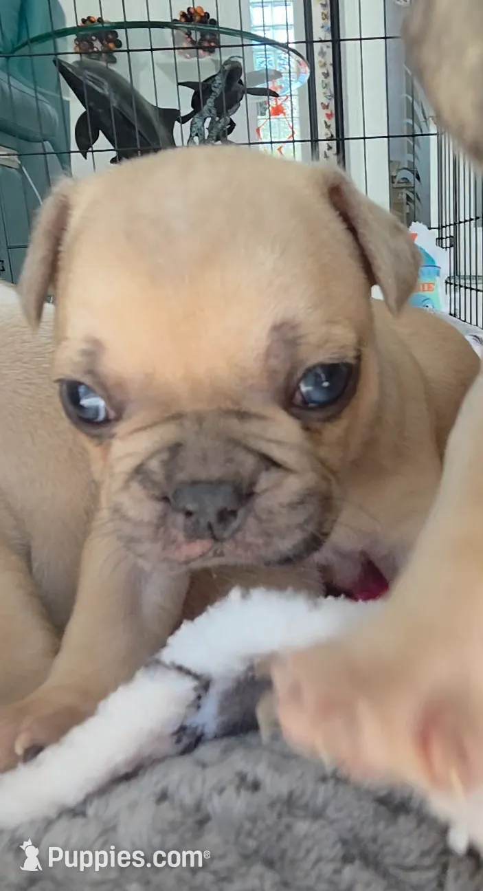 processed/bd022070-8aac-4312-953a-5ab36a80d9e2/listing/2388e61c-a071-47cf-b5d7-67d2d4982caf/543519a5-e78f-466f-a5e0-0bf7efc4d721