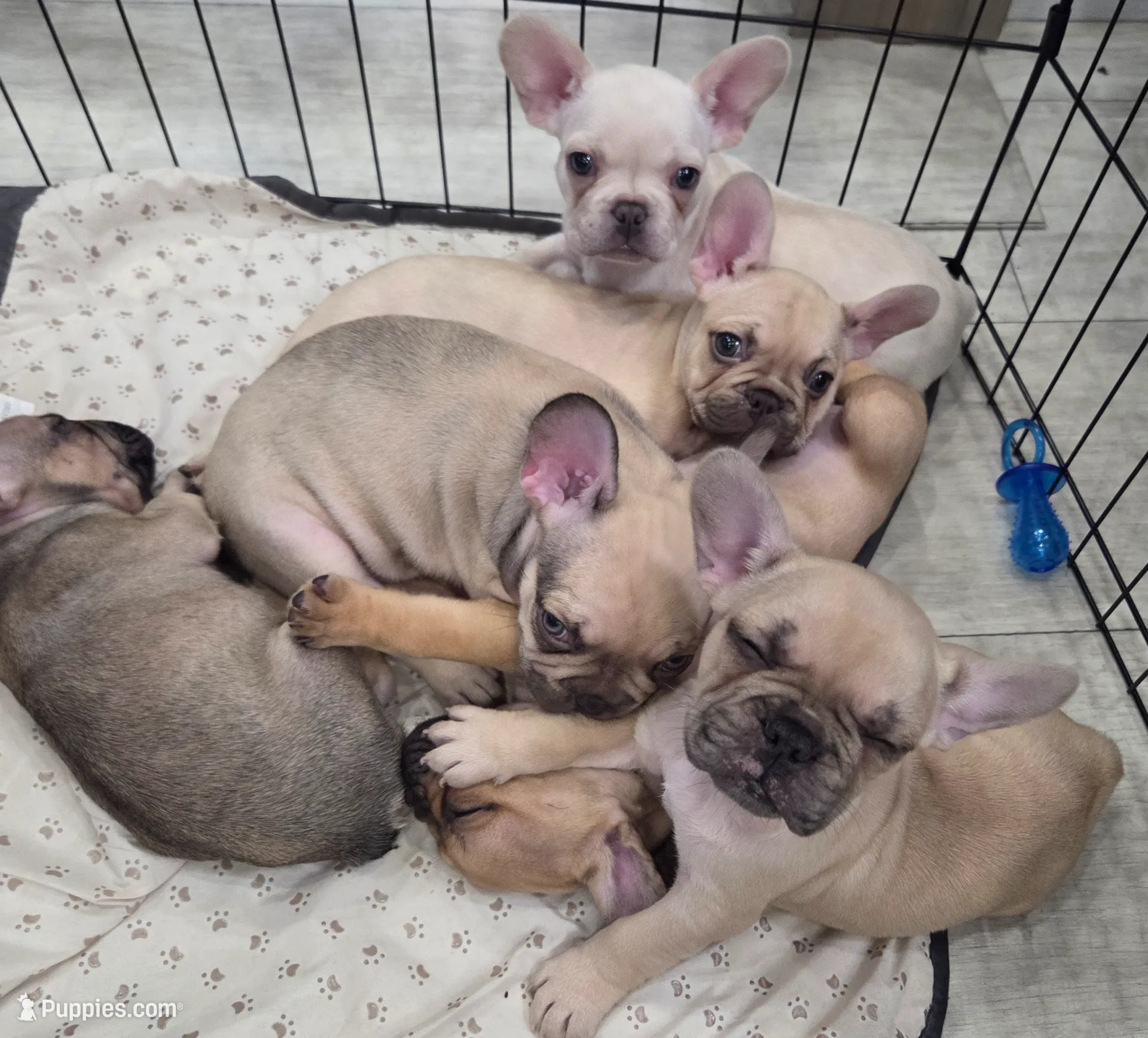 processed/bd022070-8aac-4312-953a-5ab36a80d9e2/listing/2388e61c-a071-47cf-b5d7-67d2d4982caf/75d4c745-0e53-4ed0-8c37-ee3d3784efa1