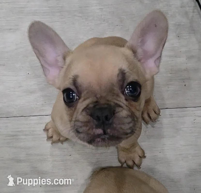 processed/bd022070-8aac-4312-953a-5ab36a80d9e2/listing/2388e61c-a071-47cf-b5d7-67d2d4982caf/bd5240fa-7967-4a71-a26d-c6e4ef461807