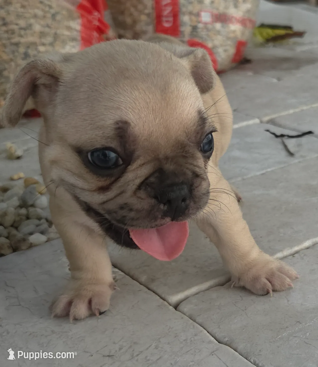 processed/bd022070-8aac-4312-953a-5ab36a80d9e2/listing/2388e61c-a071-47cf-b5d7-67d2d4982caf/c923c21f-ede8-40a7-a5a3-660231649c98