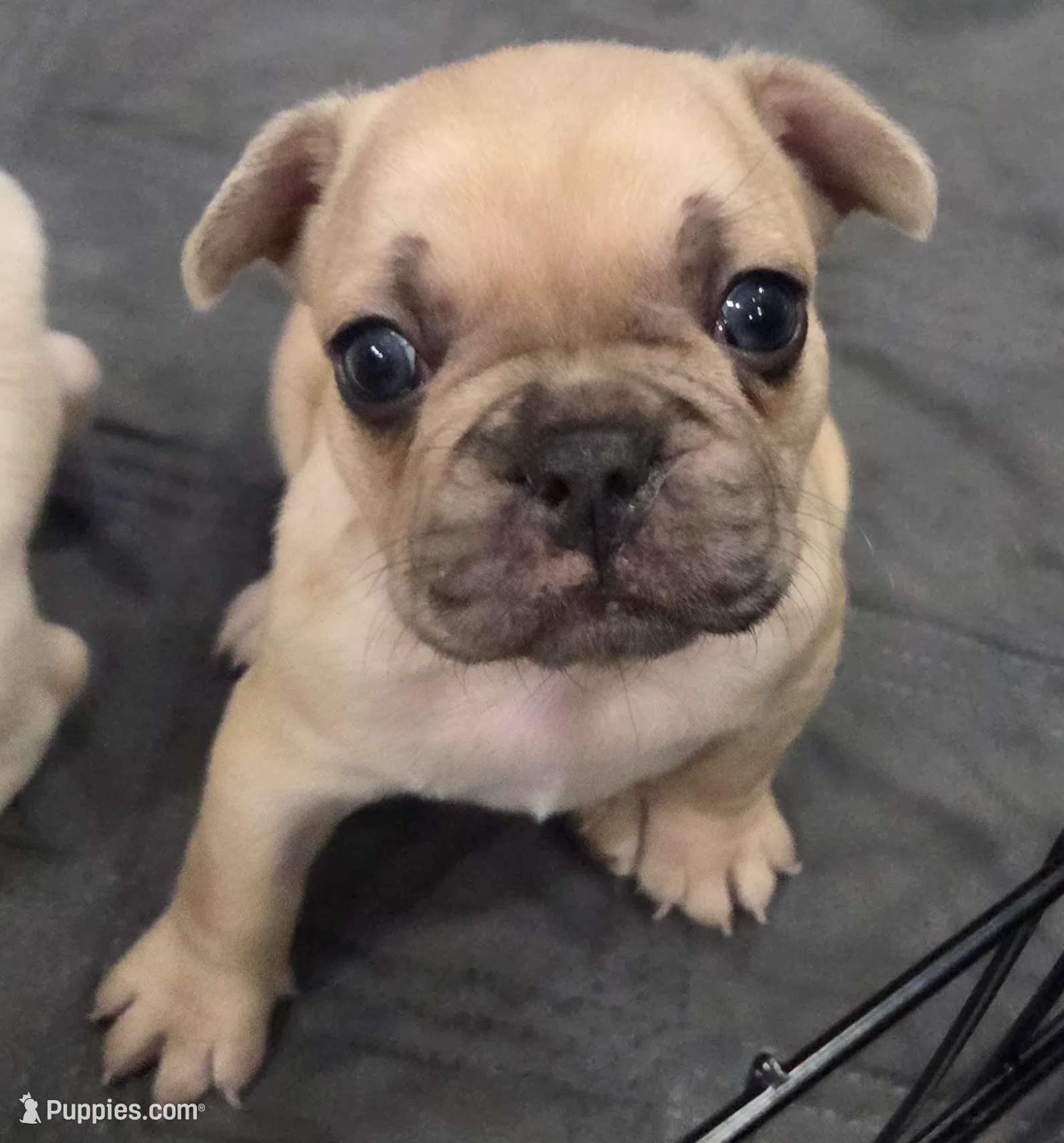 processed/bd022070-8aac-4312-953a-5ab36a80d9e2/listing/2388e61c-a071-47cf-b5d7-67d2d4982caf/f5bf0285-4478-4aad-8e51-7c29899c913d