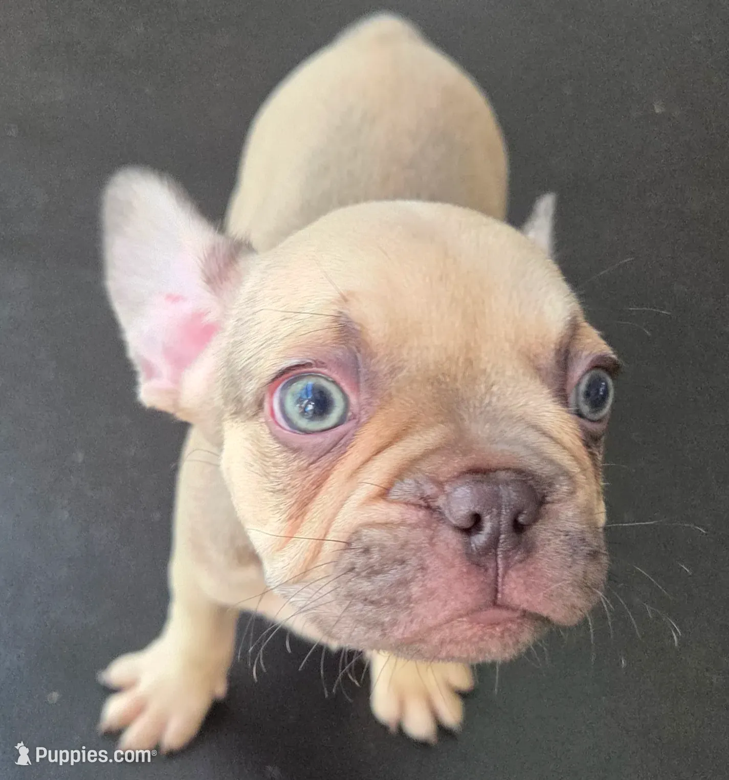 processed/bd022070-8aac-4312-953a-5ab36a80d9e2/listing/50f98e43-d3f1-4c40-afa2-b6c54a3091cc/00d9d385-f821-4f04-97ab-cf8dff9bc0a2