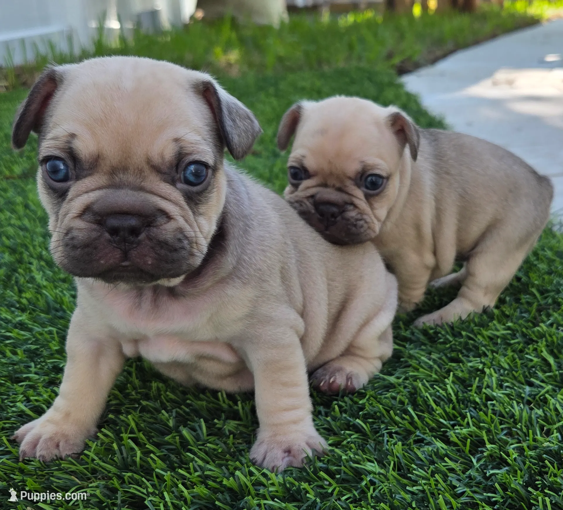 processed/bd022070-8aac-4312-953a-5ab36a80d9e2/listing/50f98e43-d3f1-4c40-afa2-b6c54a3091cc/07979b22-eed1-4204-a703-4a9a5fc9ae96