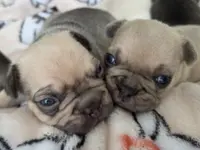 processed/bd022070-8aac-4312-953a-5ab36a80d9e2/listing/50f98e43-d3f1-4c40-afa2-b6c54a3091cc/576ff2ed-dc21-4351-be1e-942bc8c96080